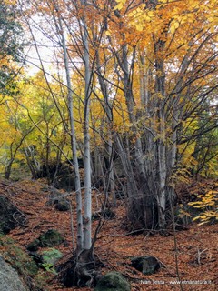 qua Rocca19-11-2017 12-26-33